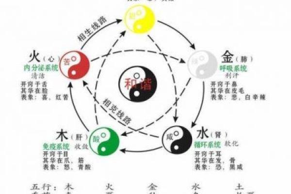 探究汉字‘忆’的五行属性及其深层意义